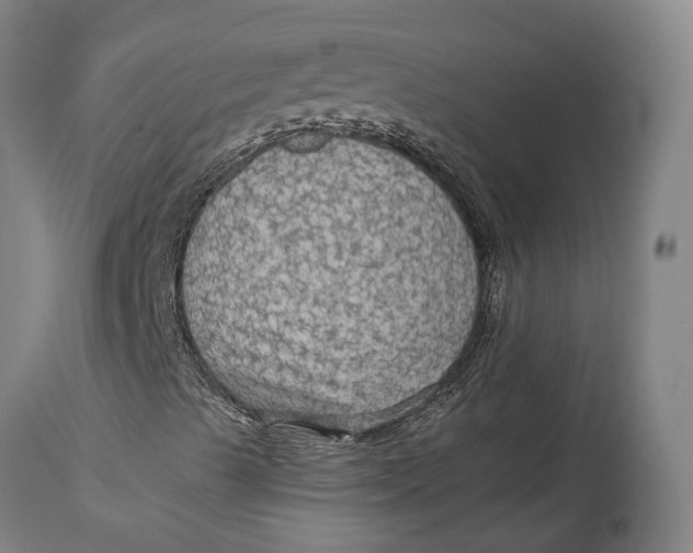 X0000114601489200911161342