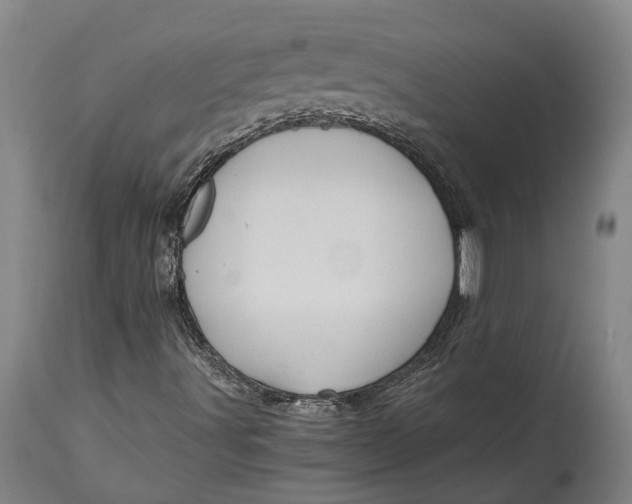 X0000114601491200911161342