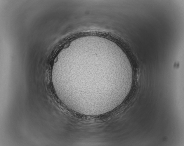 X0000114601493200911161342