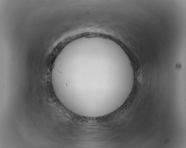 X0000114601495200911161342