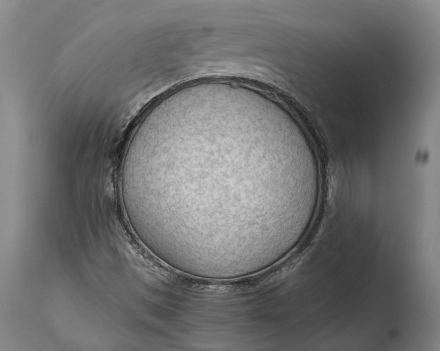 X0000114601497200911161342