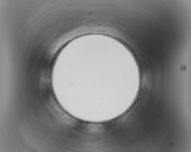 X0000114601498200911161342