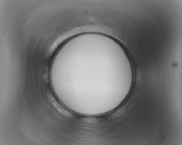 X0000114601499200911161342