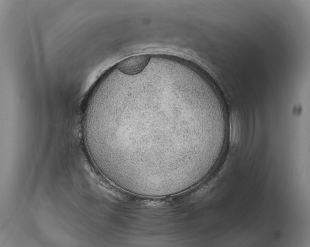 X0000114601501200911161342