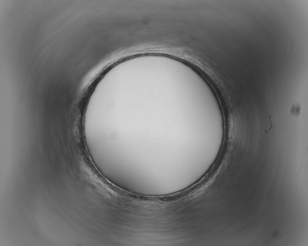 X0000114601502200911161342