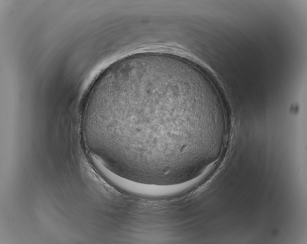 X0000114601506200911161342