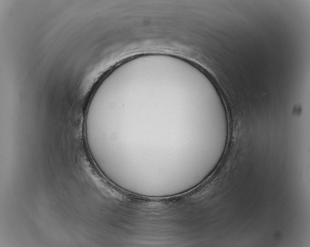 X0000114601507200911161342