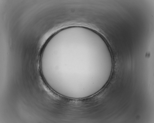 X0000114601511200911161342