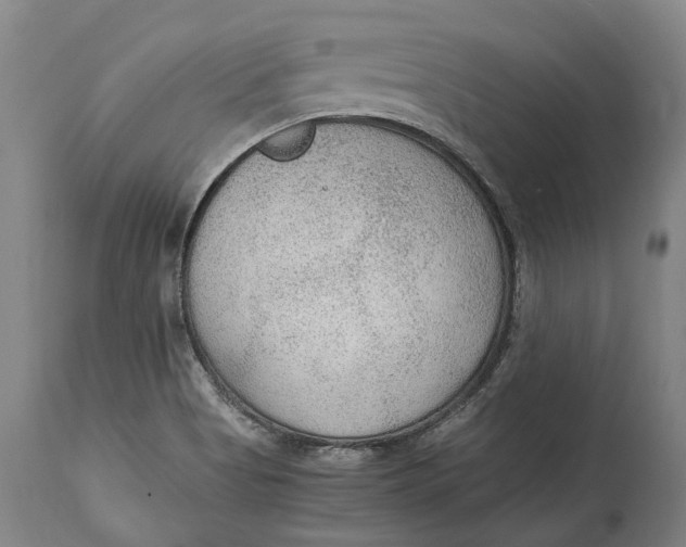 X0000114601513200911161342