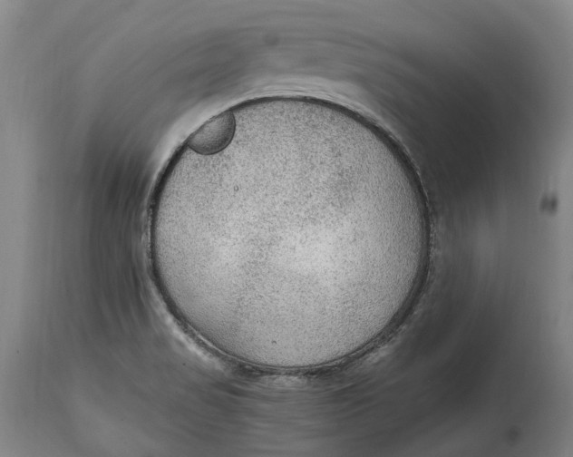 X0000114601517200911161342