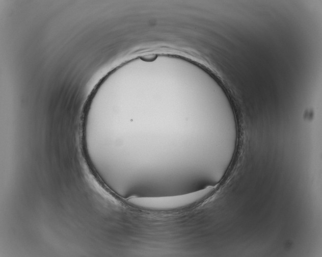 X0000114601518200911161342