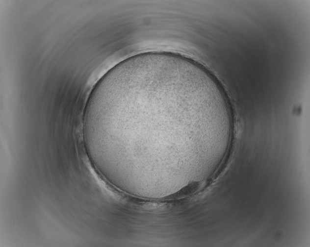 X0000114601521200911161342