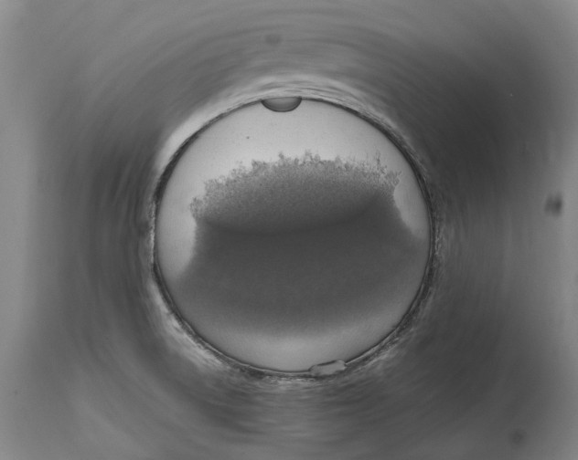 X0000114601522200911161342