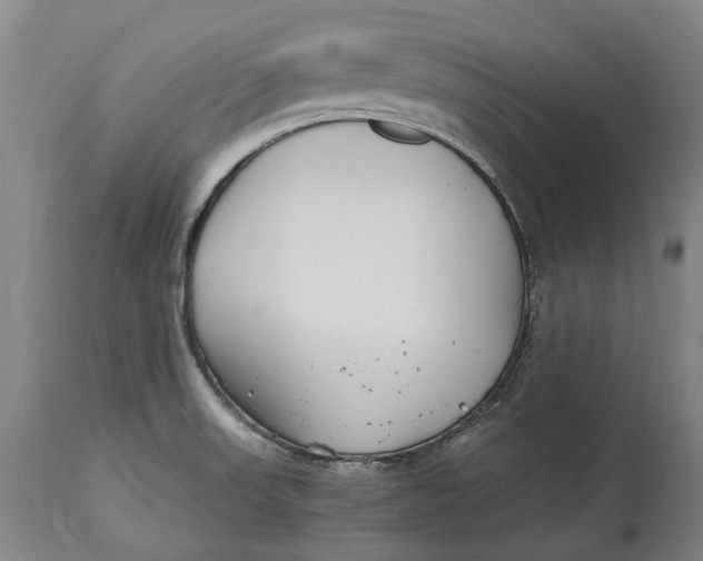 X0000114601523200911161342