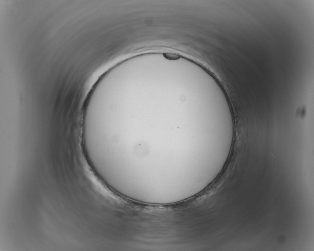 X0000114601526200911161342