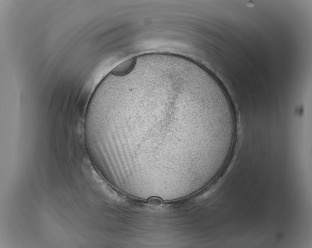 X0000114601529200911161342