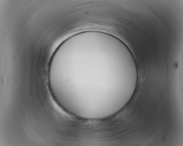 X0000114601531200911161342