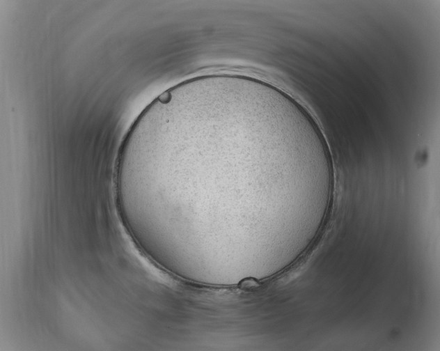 X0000114601533200911161342