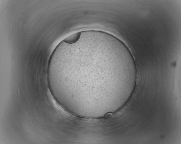 X0000114601534200911161342