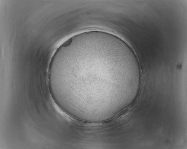 X0000114601535200911161342