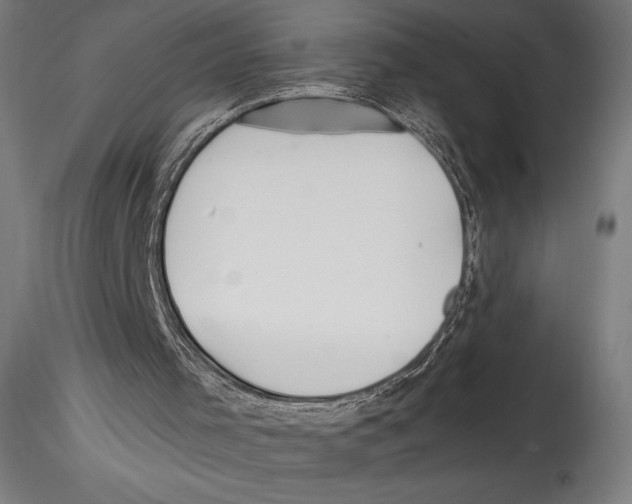 X0000114600001200911301433