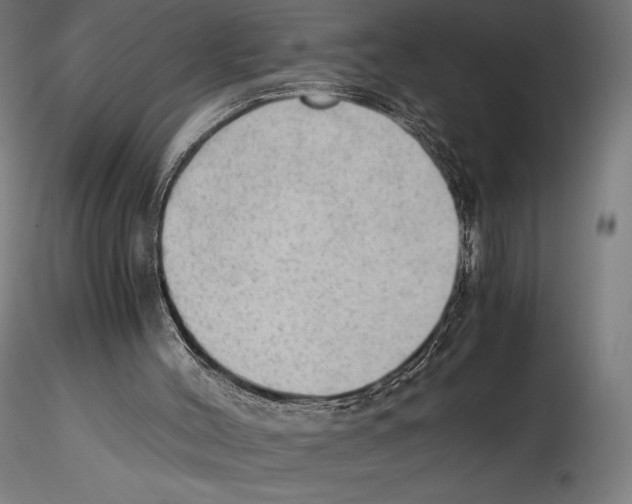 X0000114600004200911301433