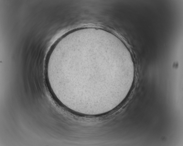 X0000114600008200911301433