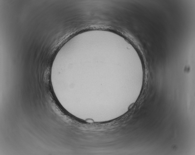 X0000114600009200911301433