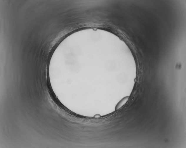 X0000114600011200911301433