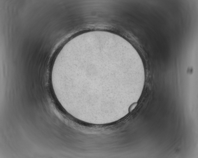 X0000114600012200911301433