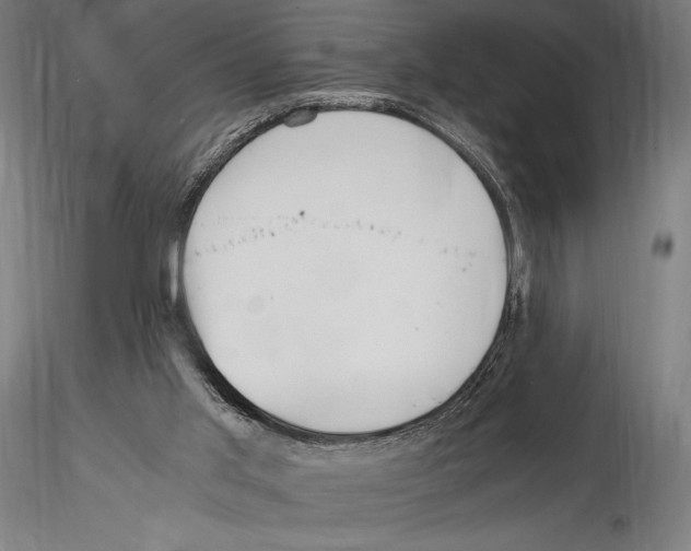 X0000114600013200911301433