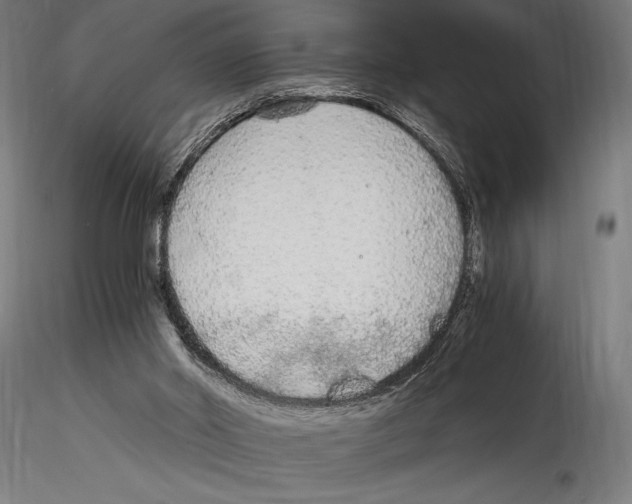 X0000114600014200911301433