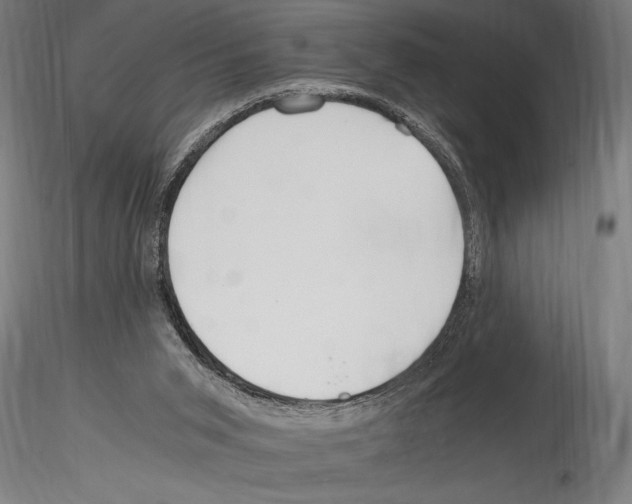 X0000114600015200911301433