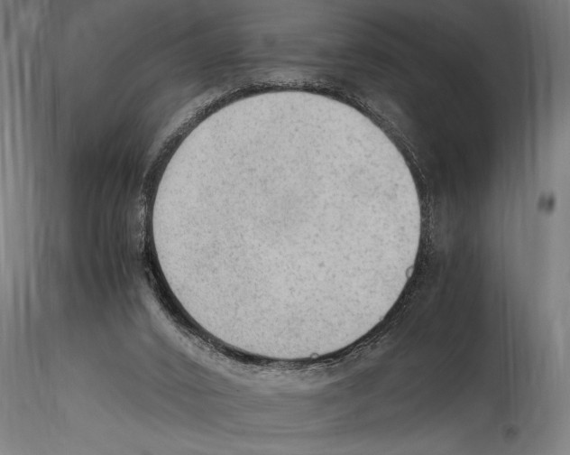 X0000114600016200911301433