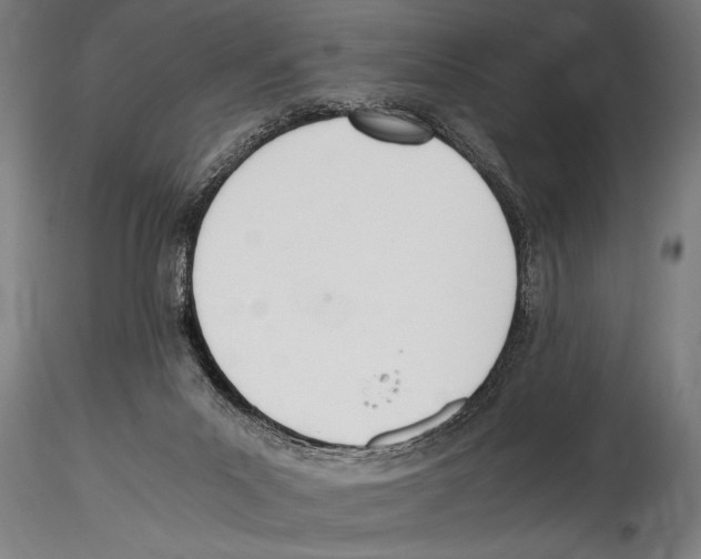 X0000114600023200911301433