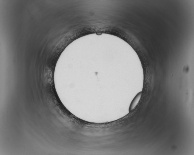 X0000114600025200911301433