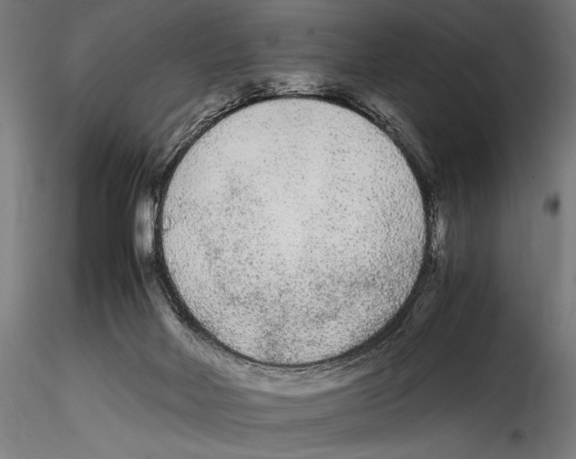 X0000114600026200911301433