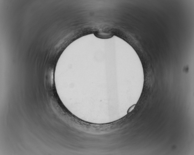 X0000114600027200911301433