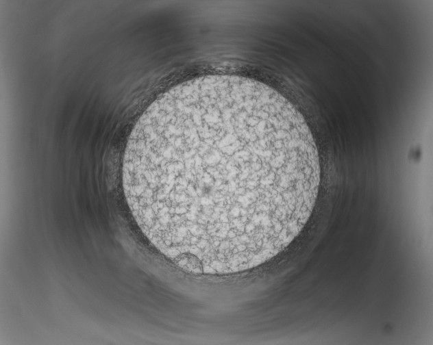 X0000114600030200911301433