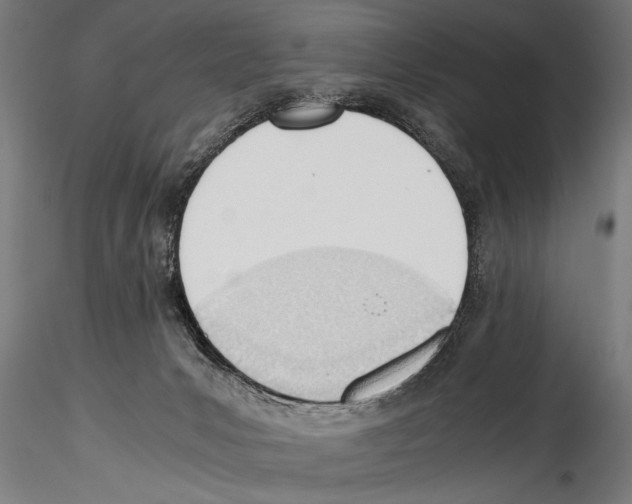 X0000114600031200911301433