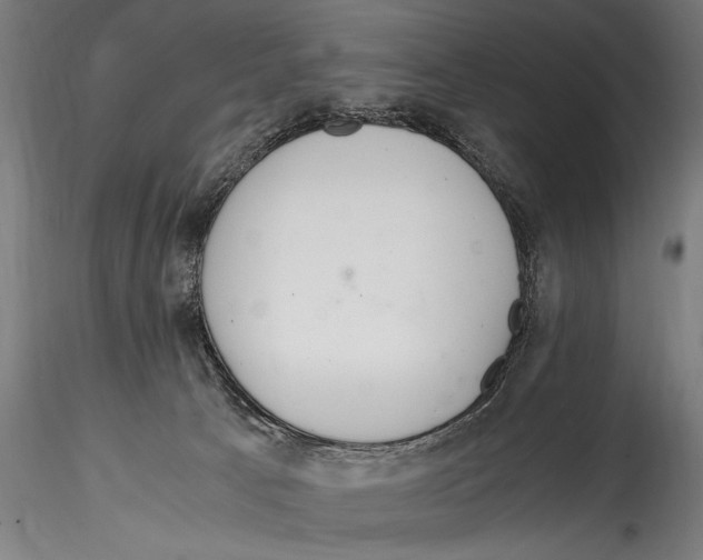 X0000114600033200911301433