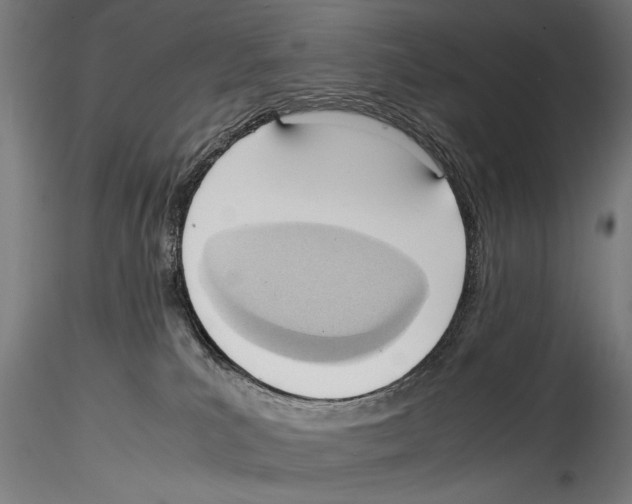 X0000114600039200911301433