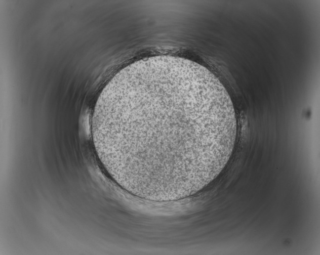 X0000114600042200911301433