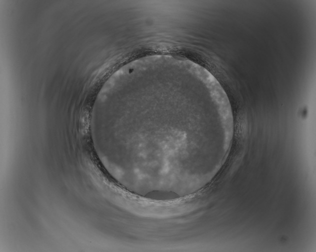 X0000114600043200911301433