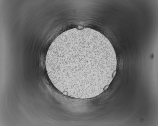 X0000114600044200911301433