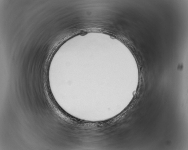 X0000114600049200911301432