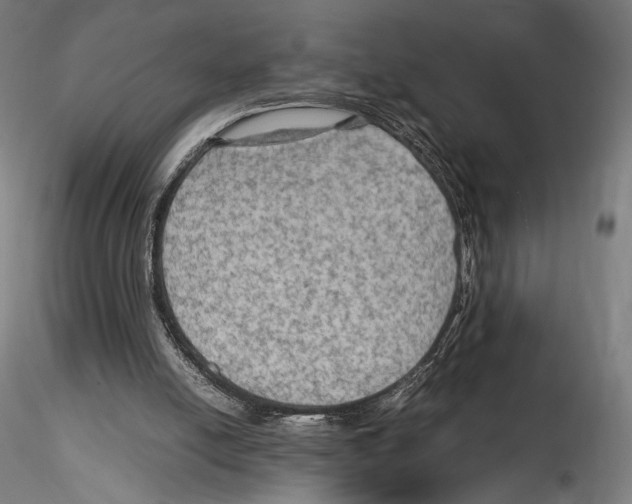 X0000114600054200911301432