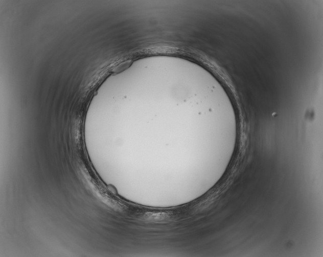 X0000114600057200911301432