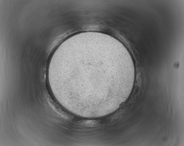 X0000114600059200911301432