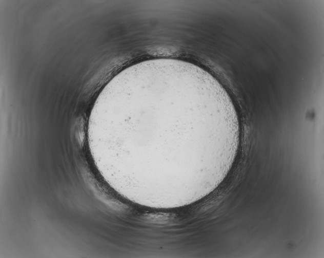 X0000114600069200911301432